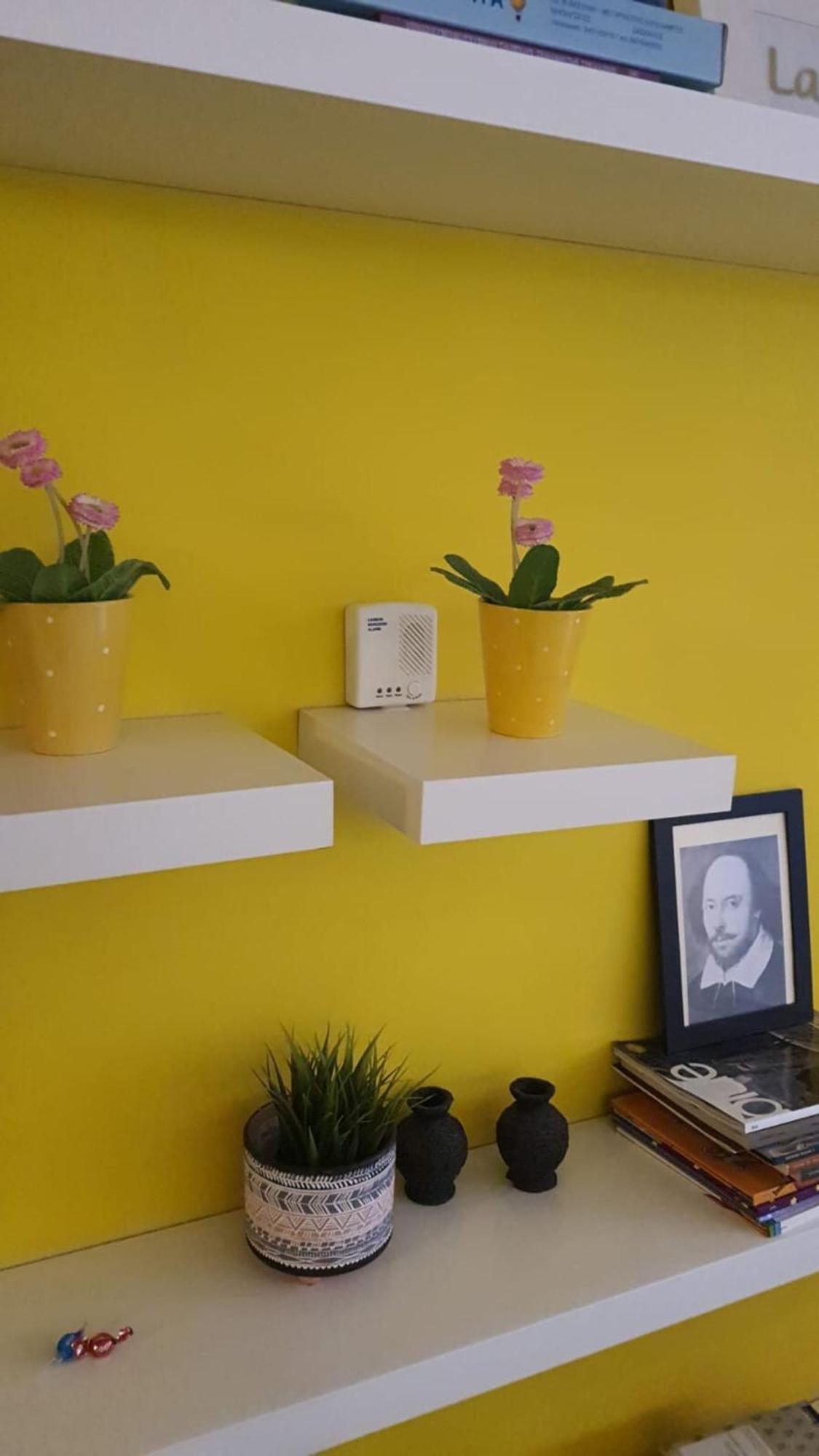 Stylish Boutique Loft With Private Balcony Lejlighed Athen Eksteriør billede